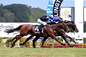 Puccini Thorndon Trish